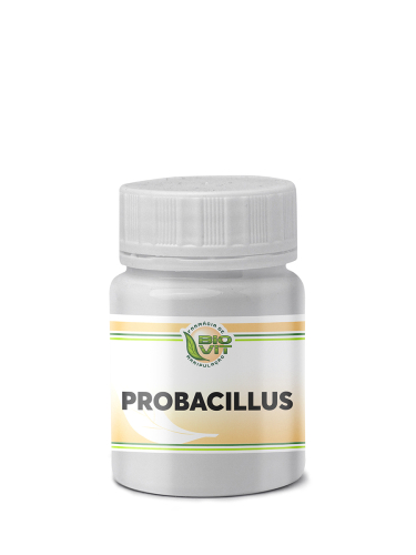 Probacillus 250mg 60 Cápsulas